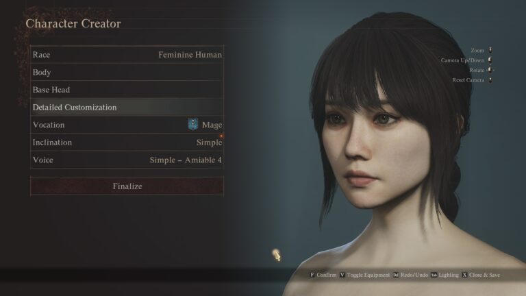 Dragon's Dogma 2 Save Character Preset
