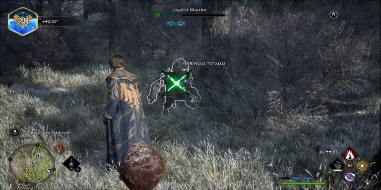 How to Cast Petrificus Totalus Hogwarts Legacy Switch